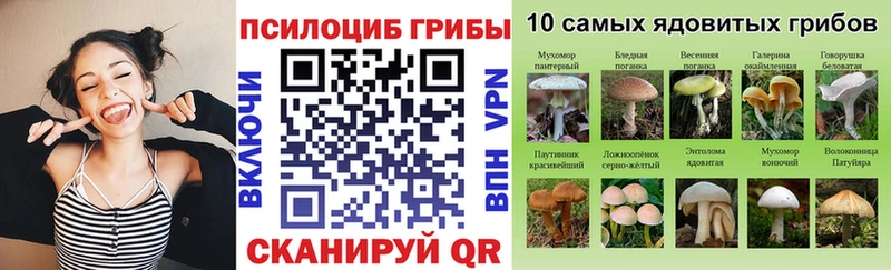 Псилоцибиновые грибы мицелий  Семилуки 